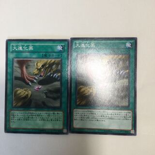 大進化薬　２枚