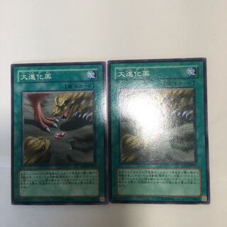 大進化薬　２枚