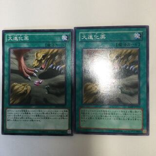 大進化薬　２枚