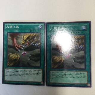 大進化薬　２枚