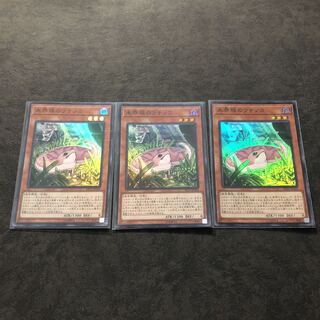 遊戯王　アジア版未界域のツチノコ　スーパー3枚