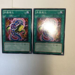 多様進化　２枚