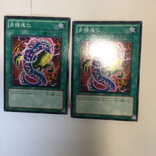 多様進化　２枚