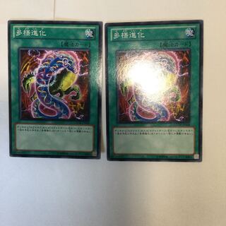 多様進化　２枚