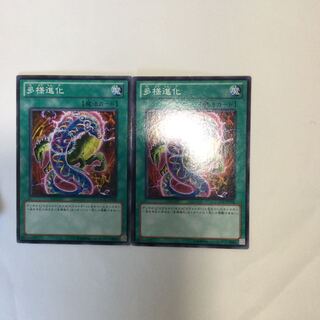 多様進化　２枚