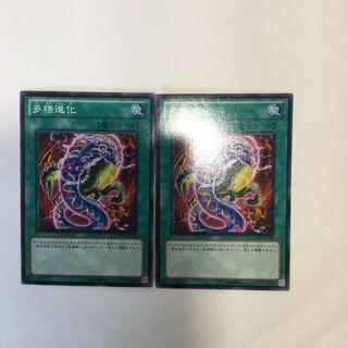 多様進化　２枚