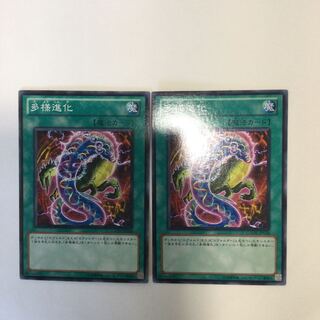 多様進化　２枚