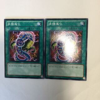 多様進化　２枚