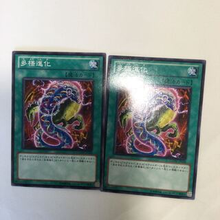 多様進化　２枚