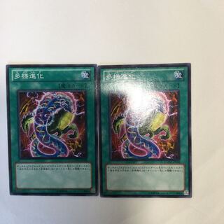 多様進化　２枚