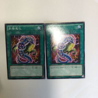 多様進化　２枚