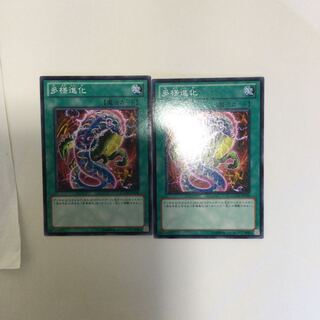 多様進化　２枚