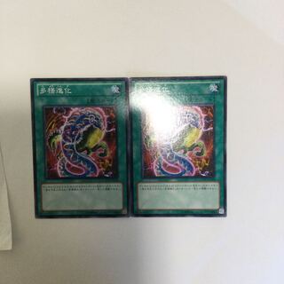 多様進化　２枚