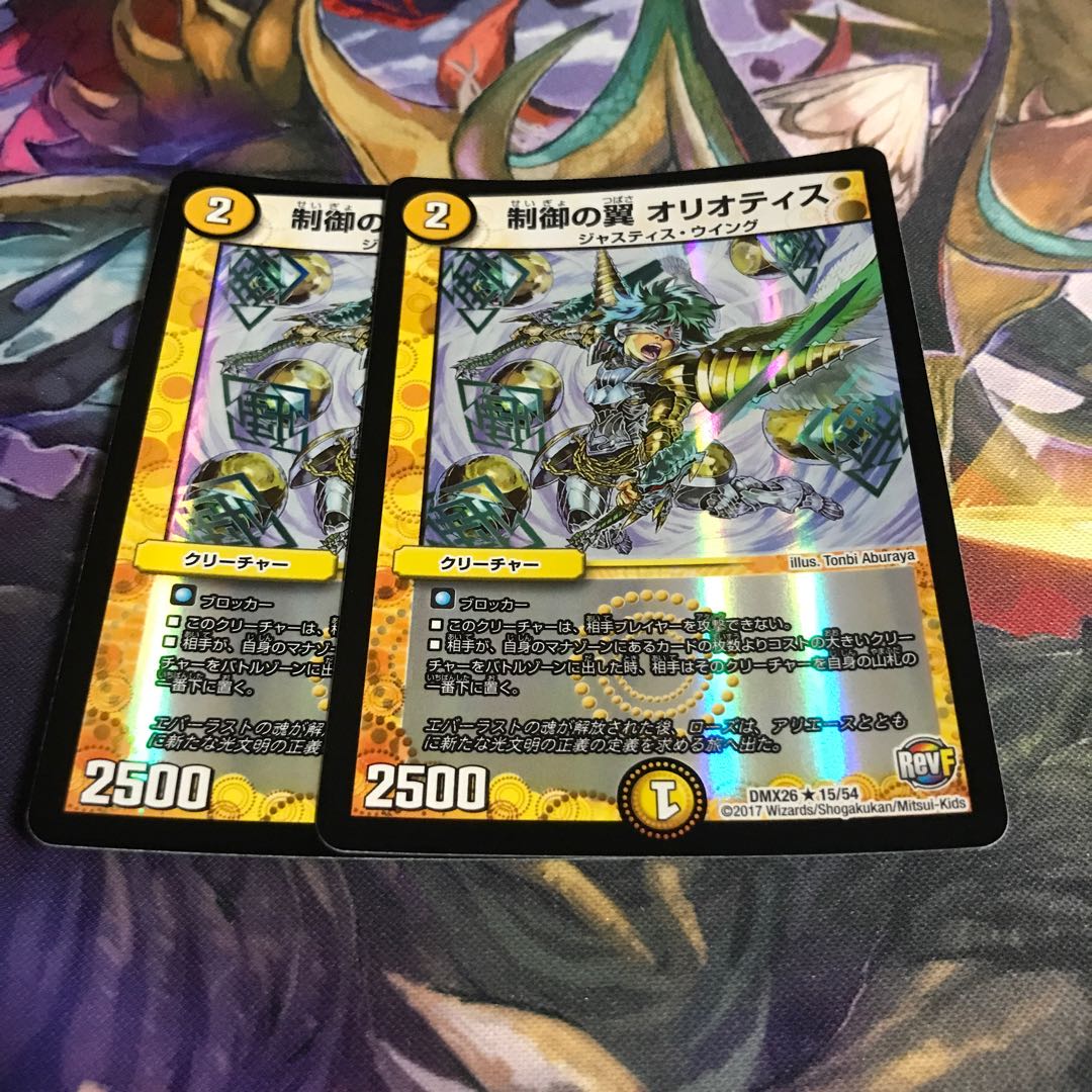 制御の翼 オリオティス R-foil