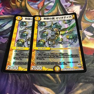 制御の翼 オリオティス R-foil