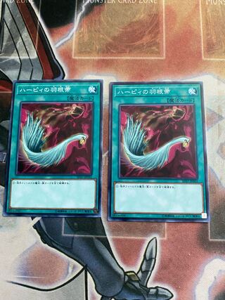 ハーピィの羽根帚