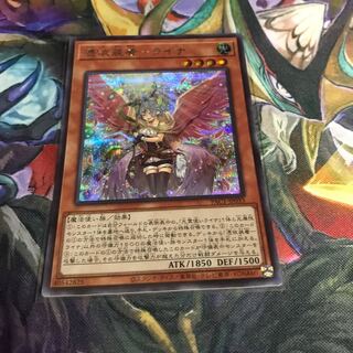 光霊使いライナ シークレットレア　絵違い