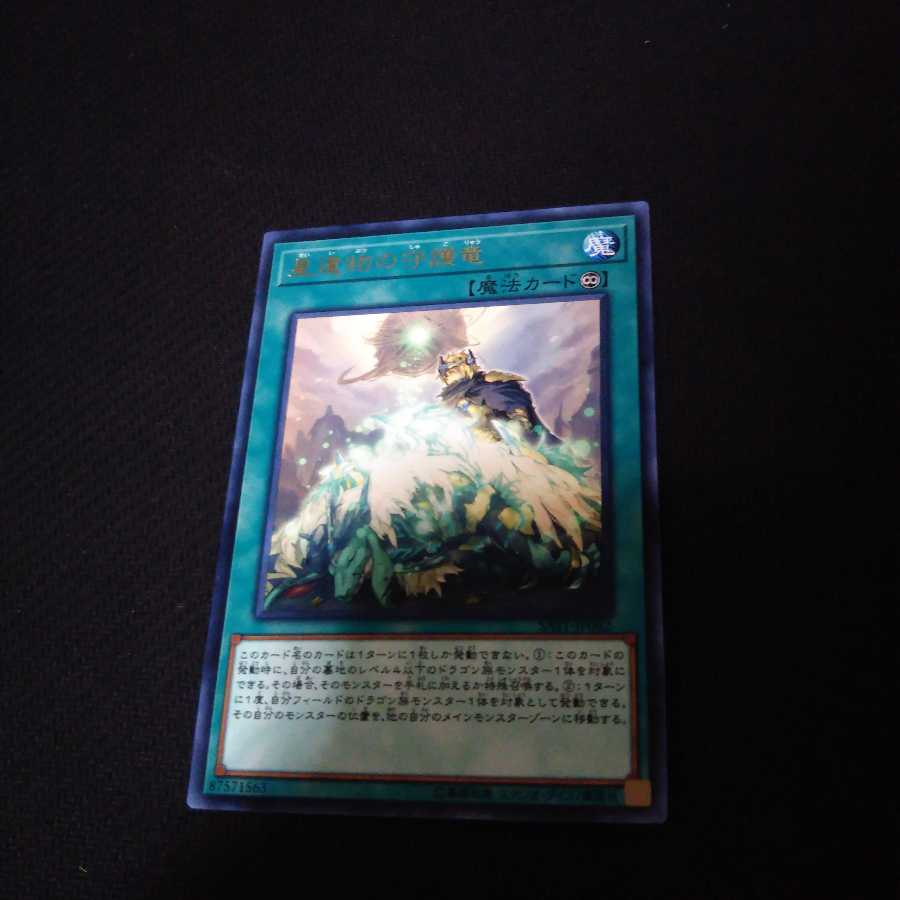 星遺物の守護竜