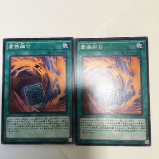 置換融合　２枚