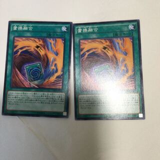 置換融合　２枚