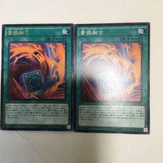 置換融合　２枚