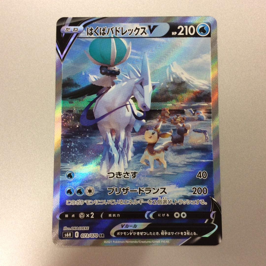 (微キズ)はくばバドレックスV SR