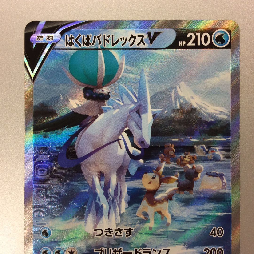 (微キズ)はくばバドレックスV SR