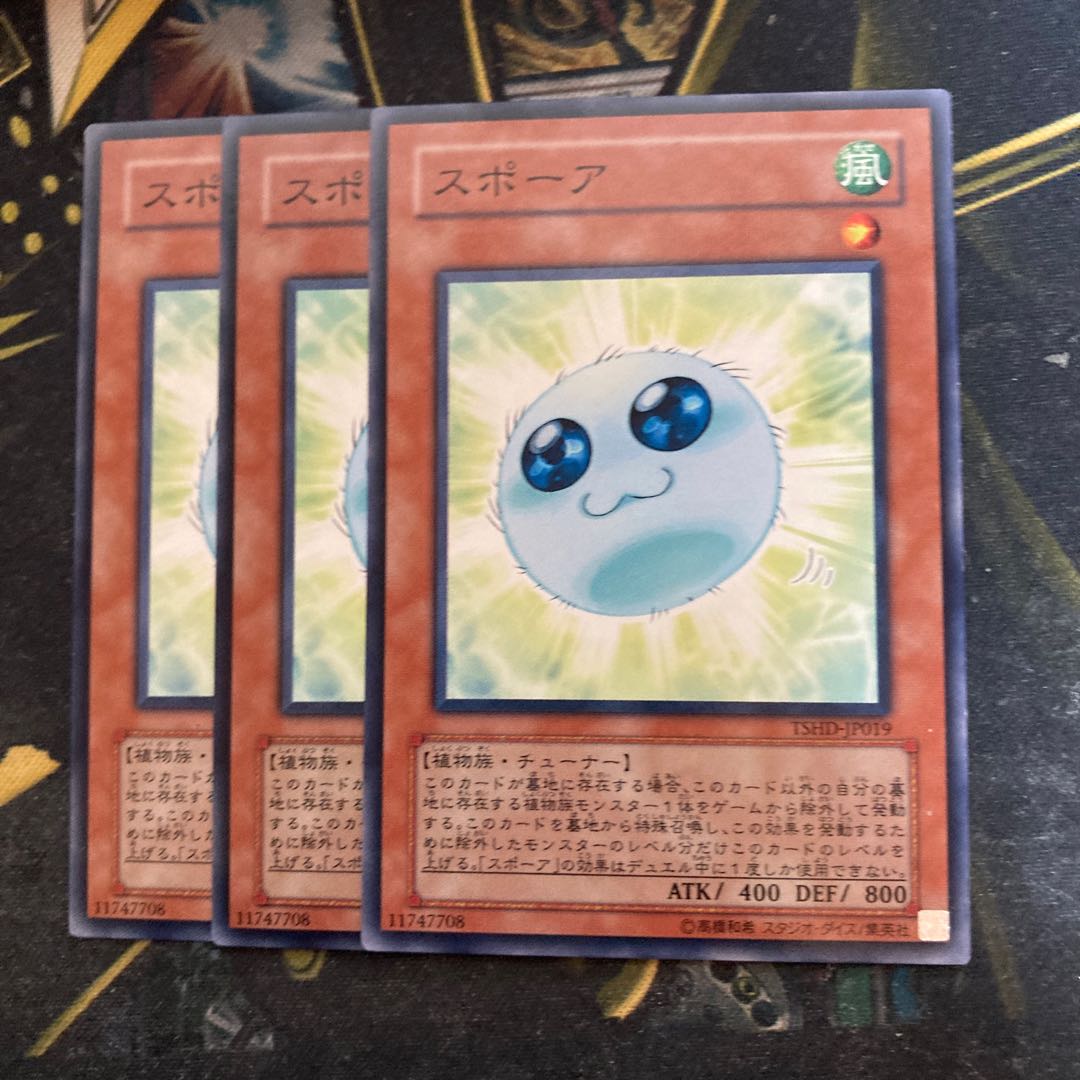 マドレース5484スポーア ノーマル