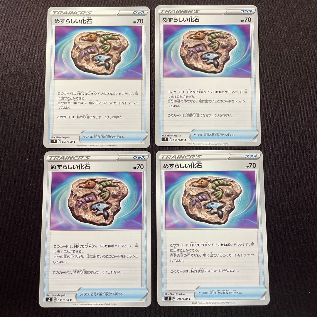 めずらしい化石 C