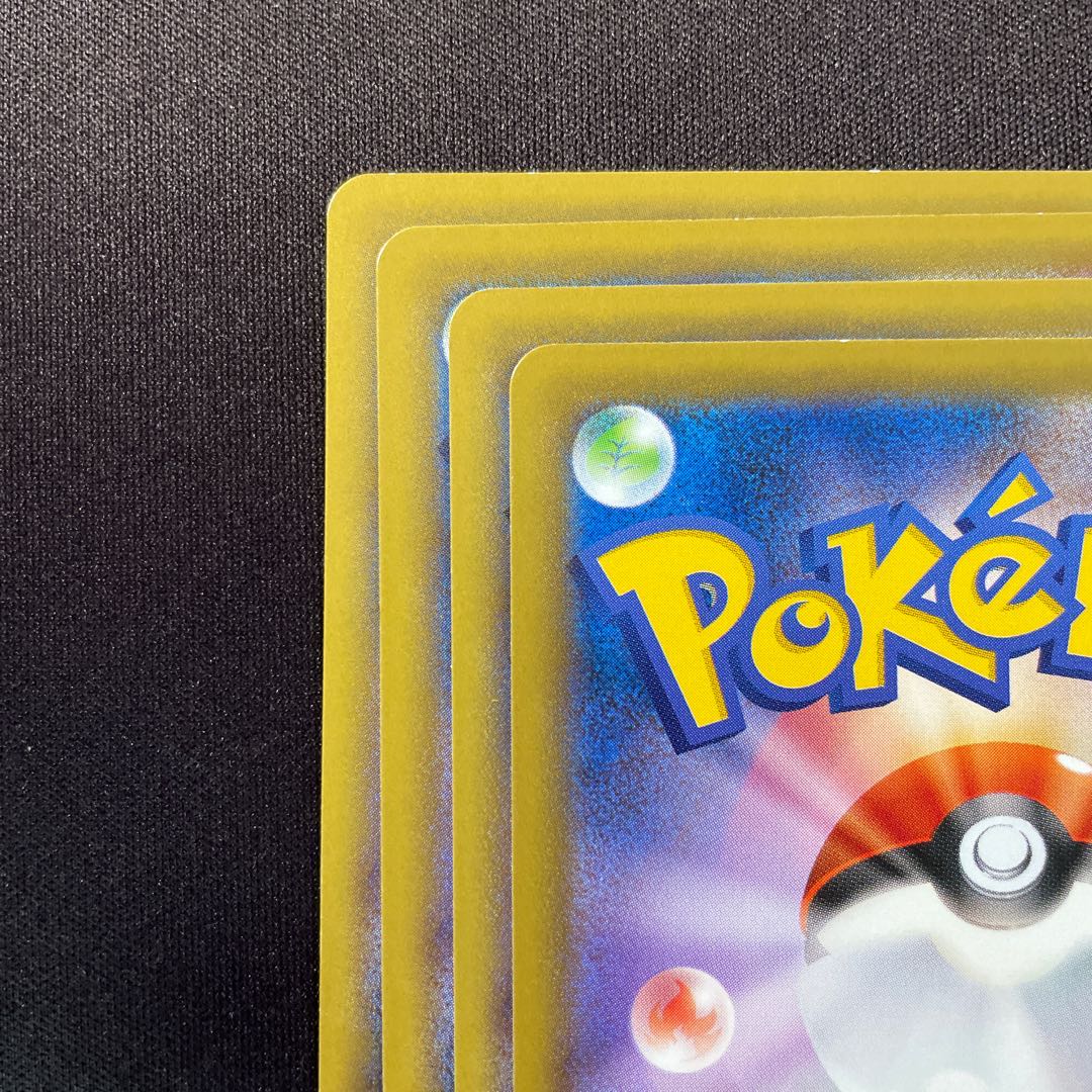 めずらしい化石 C