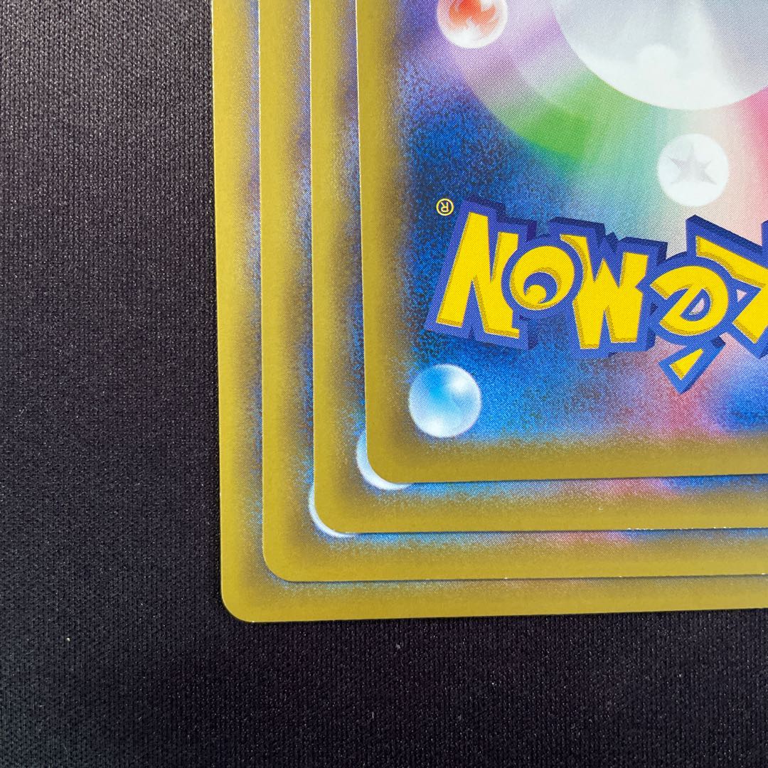 めずらしい化石 C