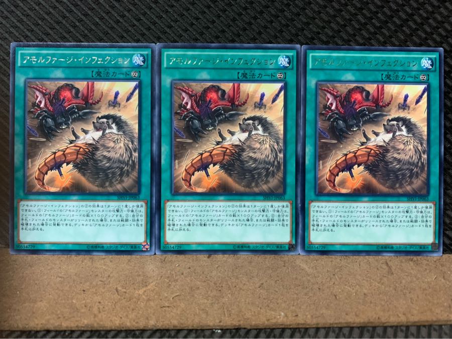 【ぽぽたん】遊戯王 5010 アモルファージ・インフェクション 3枚 レア