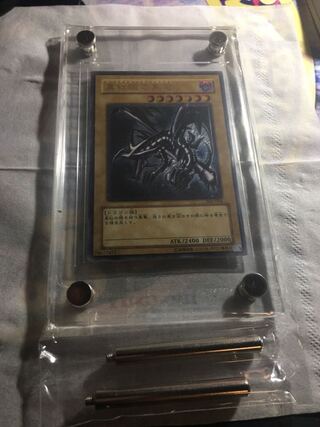 真紅眼の黒竜　専用品