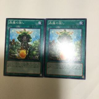 森羅の施し　２枚