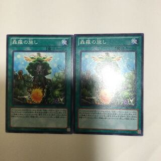 森羅の施し　２枚