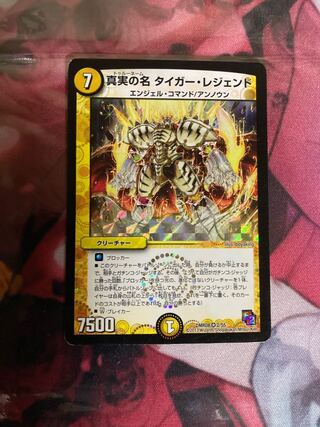 The True Name Tiger Legend VR