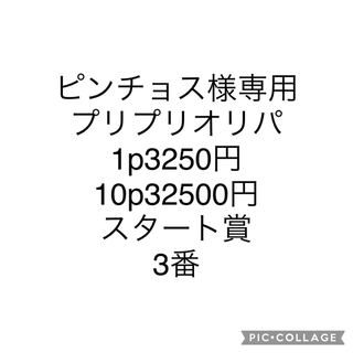 ピンチョス様専用出品 1枚