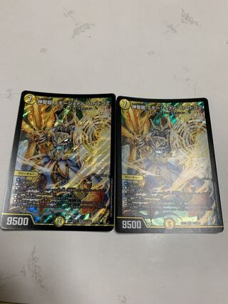 神聖龍 エモーショナル・ハードコア