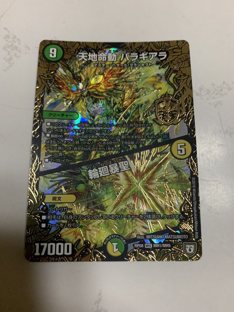 天地命動 バラギアラ|輪廻暴聖