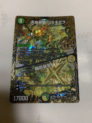 天地命動 バラギアラ｜輪廻暴聖