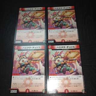 ハエタタ・チュリス