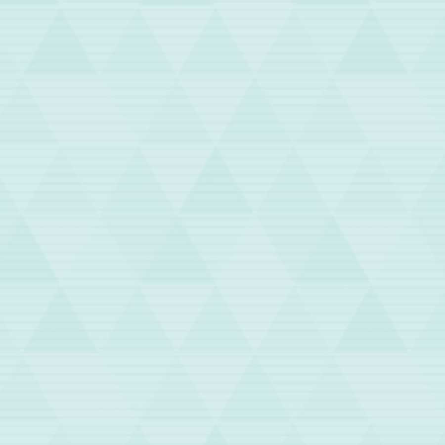 専用ページ2前橋様