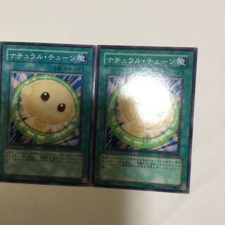 ナチュラル・チューン　２枚