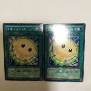 ナチュラル・チューン　２枚