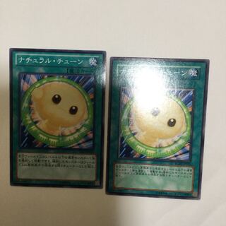 ナチュラル・チューン　２枚