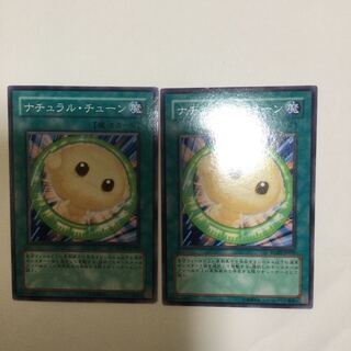 ナチュラル・チューン　２枚