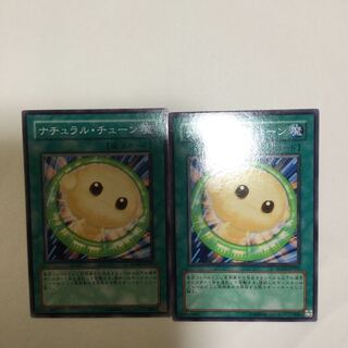 ナチュラル・チューン　２枚