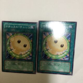 ナチュラル・チューン　２枚