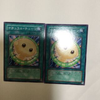 ナチュラル・チューン　２枚