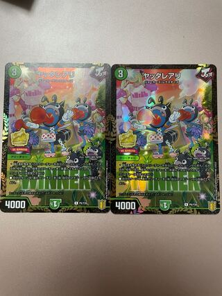 ヤッタレアリ R